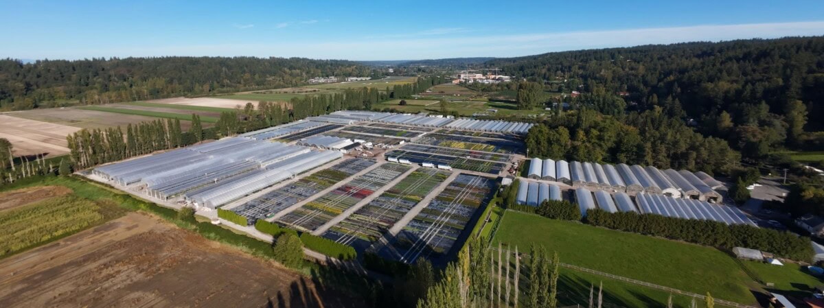 aerialshot4 1800