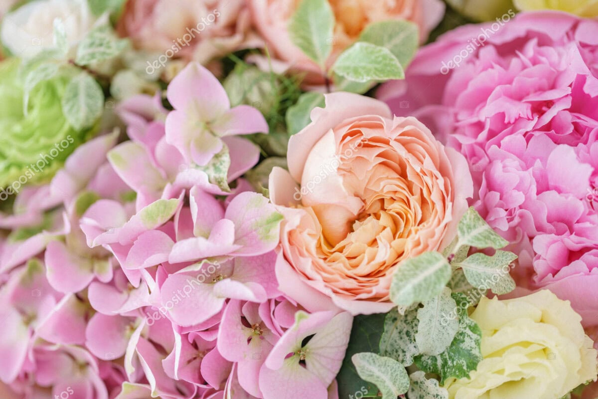 beautiful spring bouquet. flower arrangement with hydrangea and peonies. color light pink. the concept of a flower shop, a small family business