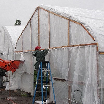 greenhouse web